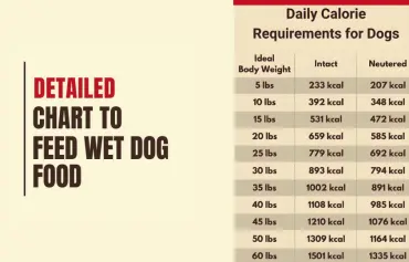 Wet Dog Food Feeding Calculator and Guide